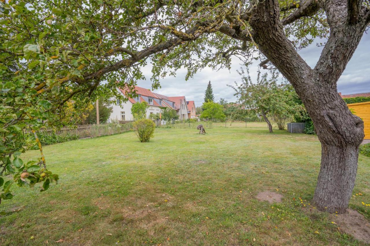 Ferienhaus "Seeadler" In Rankwitz Am Peenestrom Exteriör bild